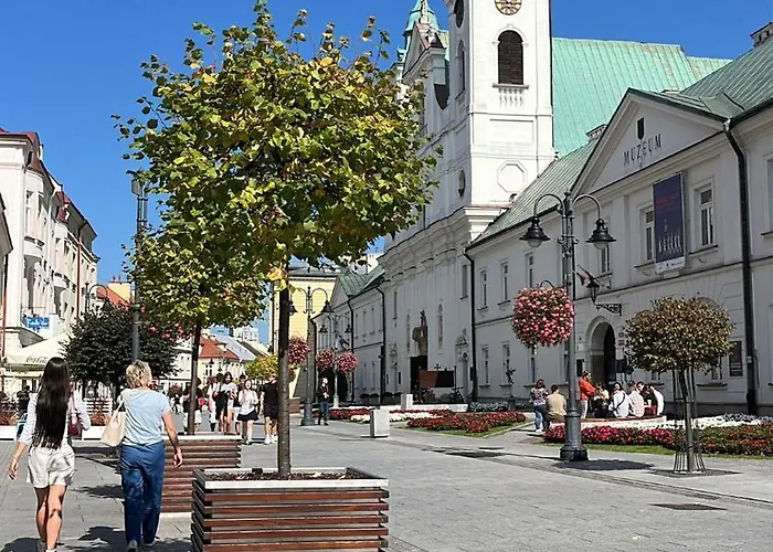 Bella Rose Апартаменты *